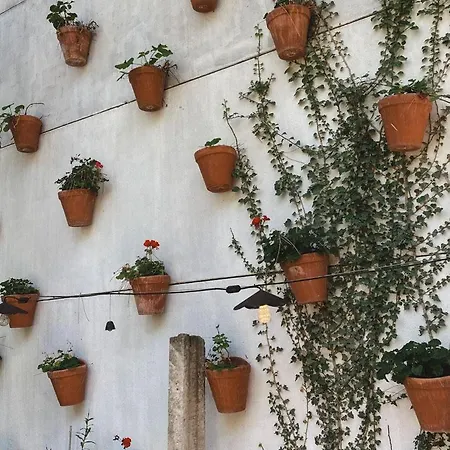 Hotel Boutique Pinar By Bossh! Hotels Cuenca  Exterior photo